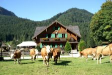 Foto von Blaa Alm Foto von Blaa Alm