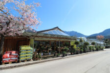 Foto von Gärtnerei Reischenböck Foto von Gärtnerei Reischenböck