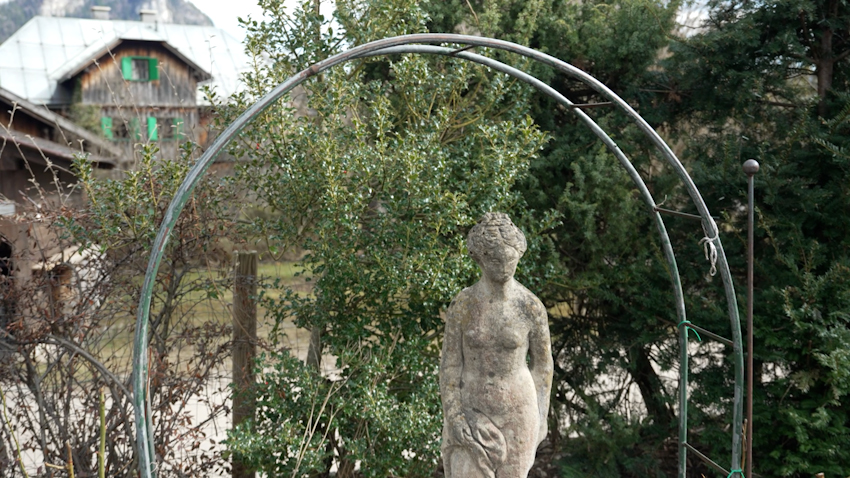 Palmbusch'n-Pflanzen im Garten