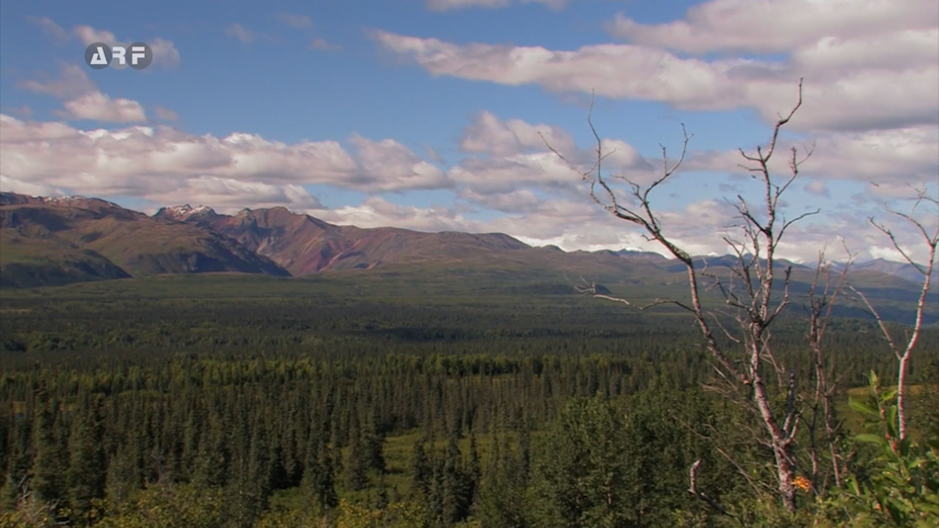 Denali-Nationalpark