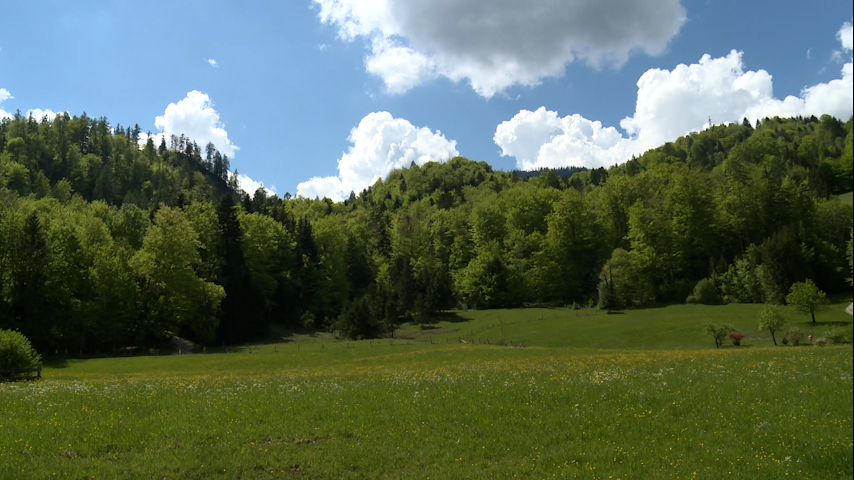 Landschaftspflegefonds Bad Goisern