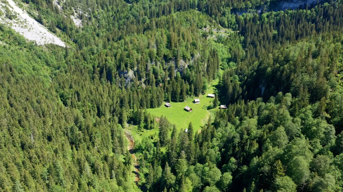 Zimitz Alm Wandern am Wasser