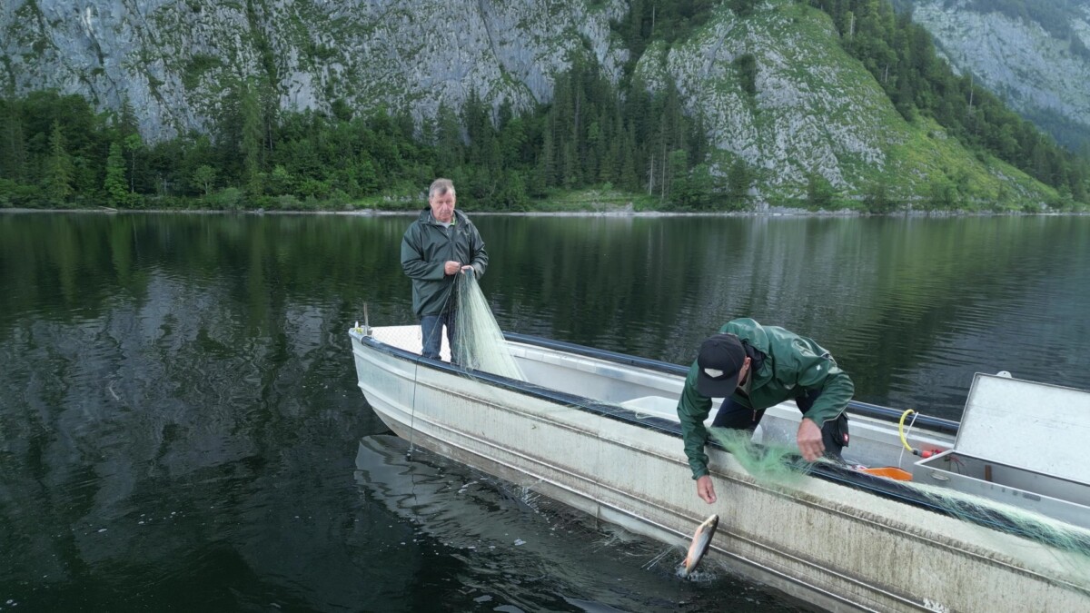 Die Fischerei am Altausseer See