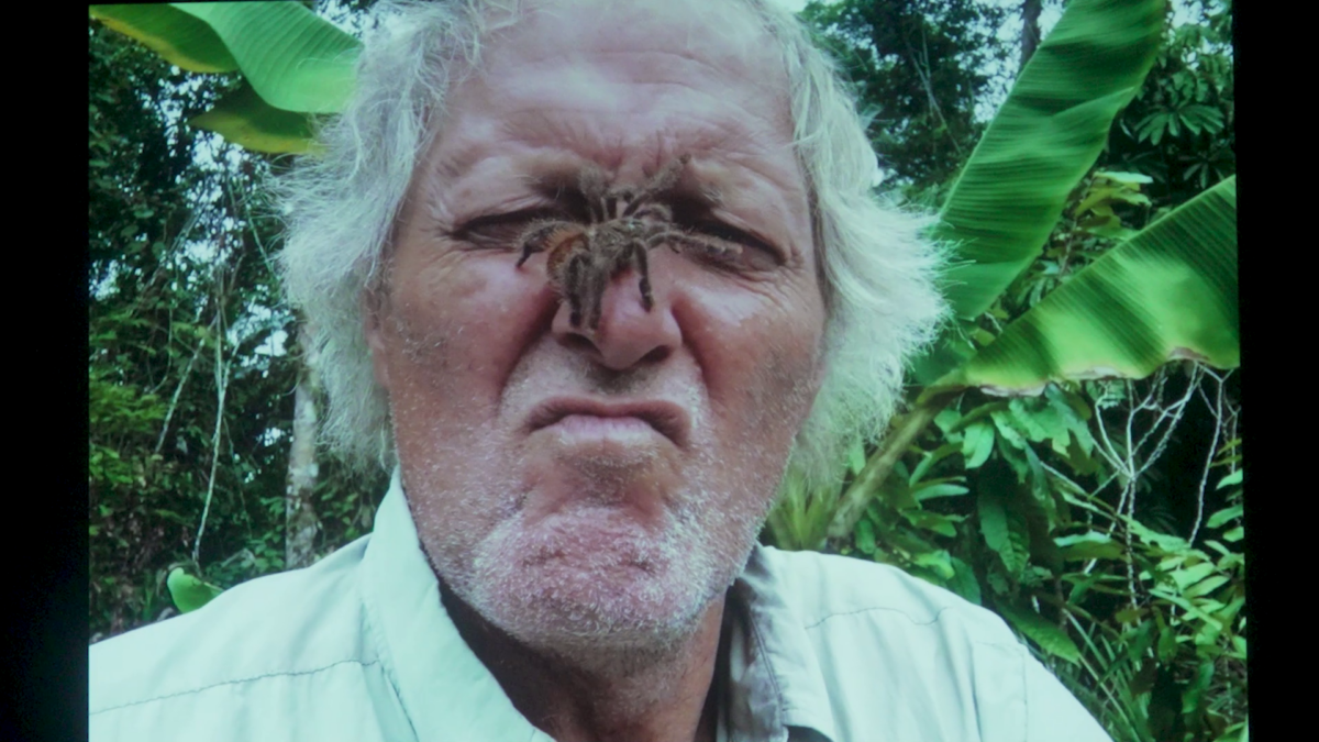 Amazonas und Anden