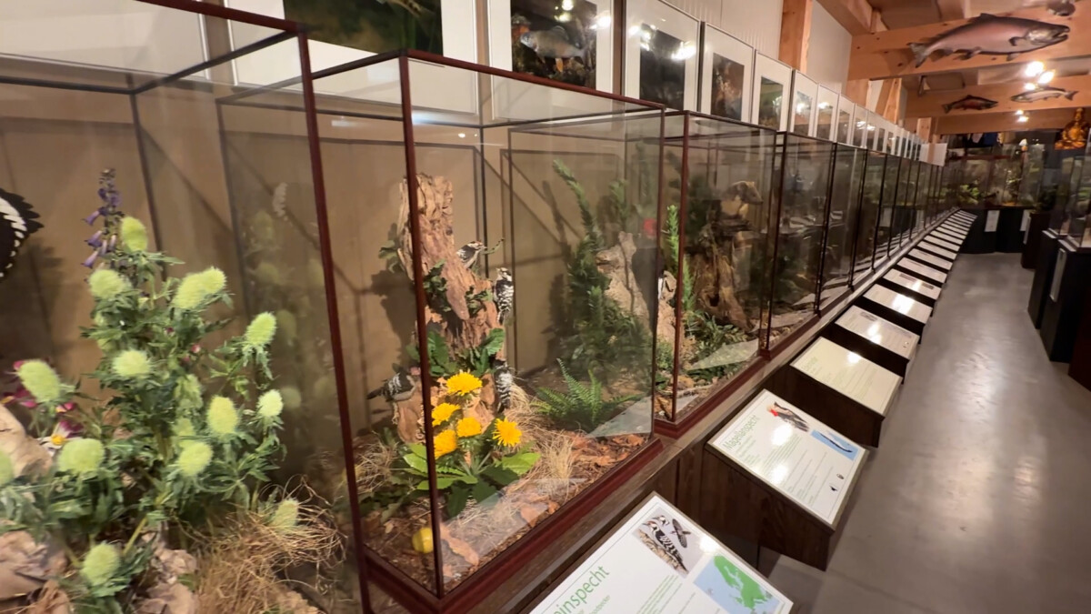 Naturwelten Museum Salzkammergut