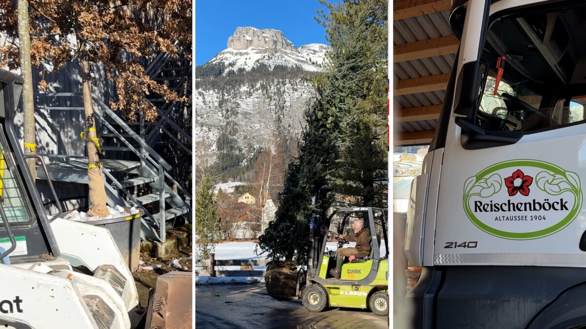 Bäume Anlieferung bei Gärtnerei Reischenböck