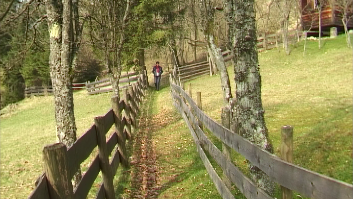 Rund um den Plattenkogel