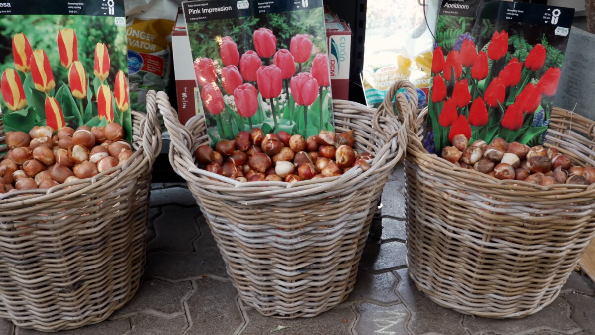 Gartenarbeit im Herbst