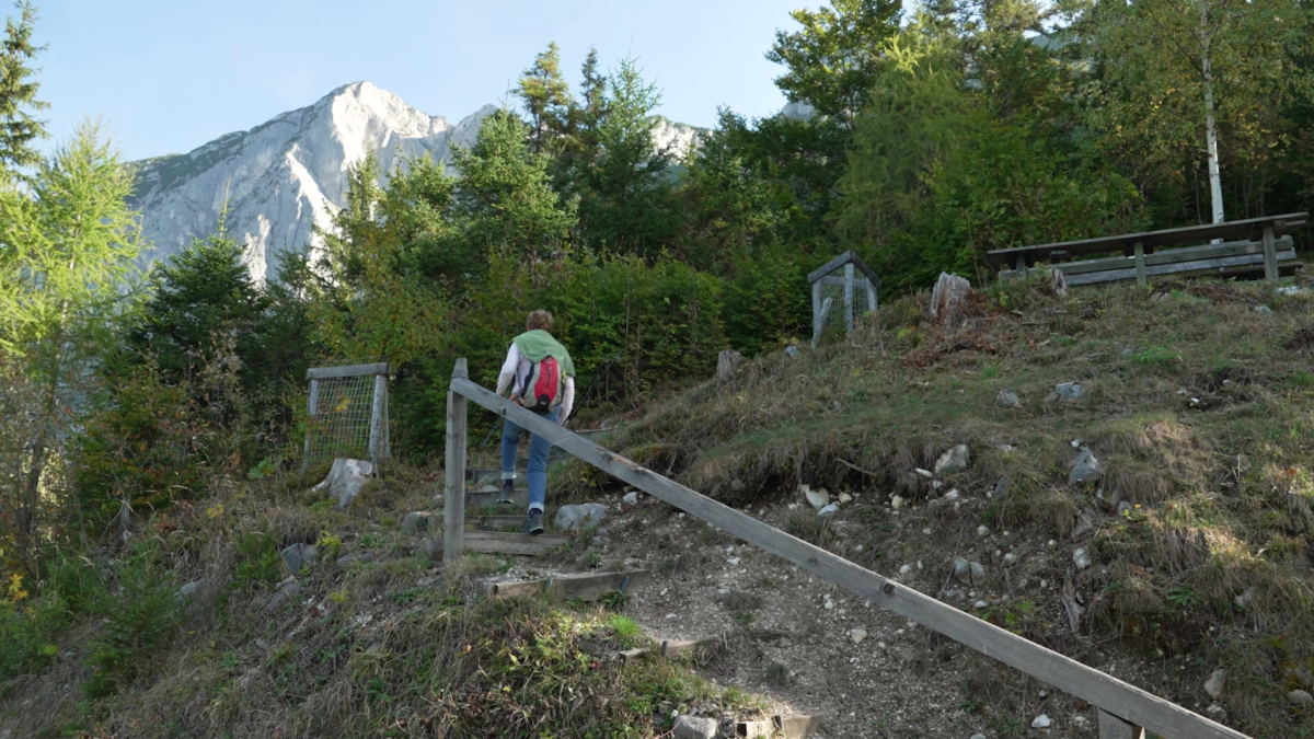 Eine herbstliche Wanderung
